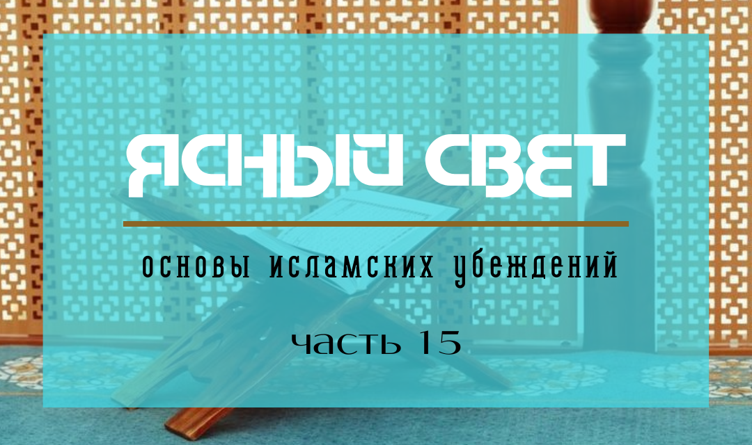 15 основ